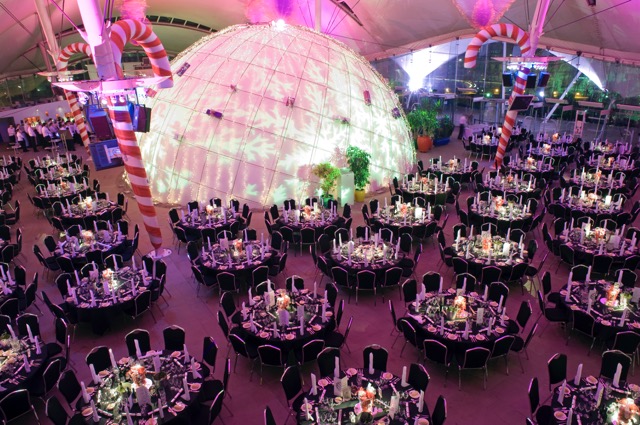 Dynamic Earth Tables